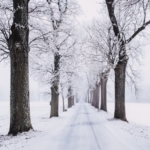 Snowy Winter Road